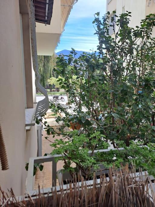 カラマタΔίπλα Στο Πάρκοアパートメント エクステリア 写真